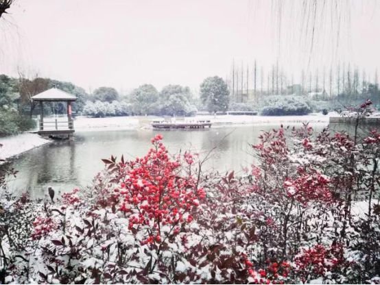 与双山香山，来一场浪漫“香”遇！