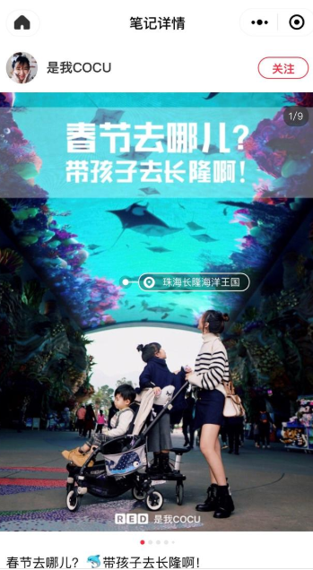 一场影响900万人的种草行动,长隆是怎么做到的?